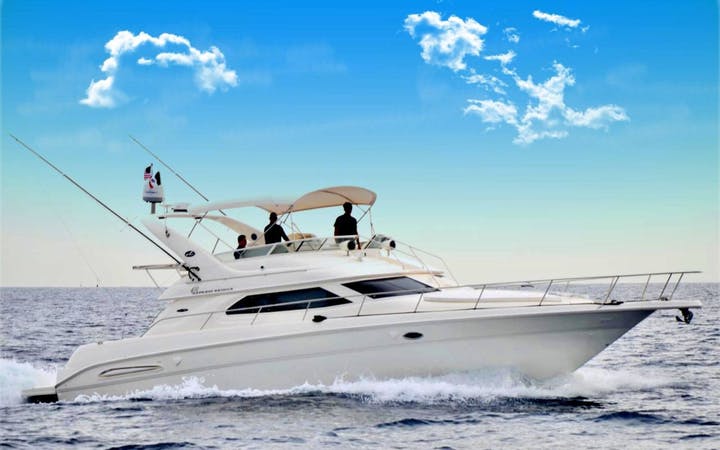 45 SeaRay luxury charter yacht - Cabo San Lucas Marina, Marina, Cabo San Lucas, BCS, Mexico
