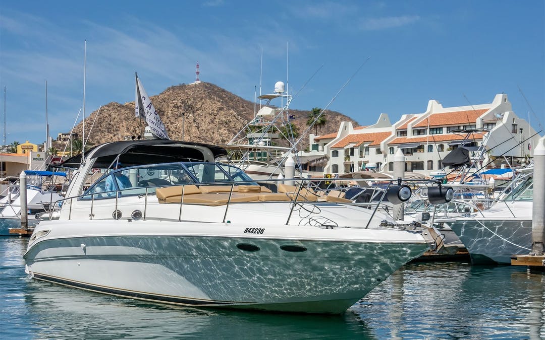 42 Sea Ray luxury charter yacht - Paseo de La Marina Lotes 37 y 38, El Medano Ejidal, Centro, Cabo San Lucas, BCS, Mexico