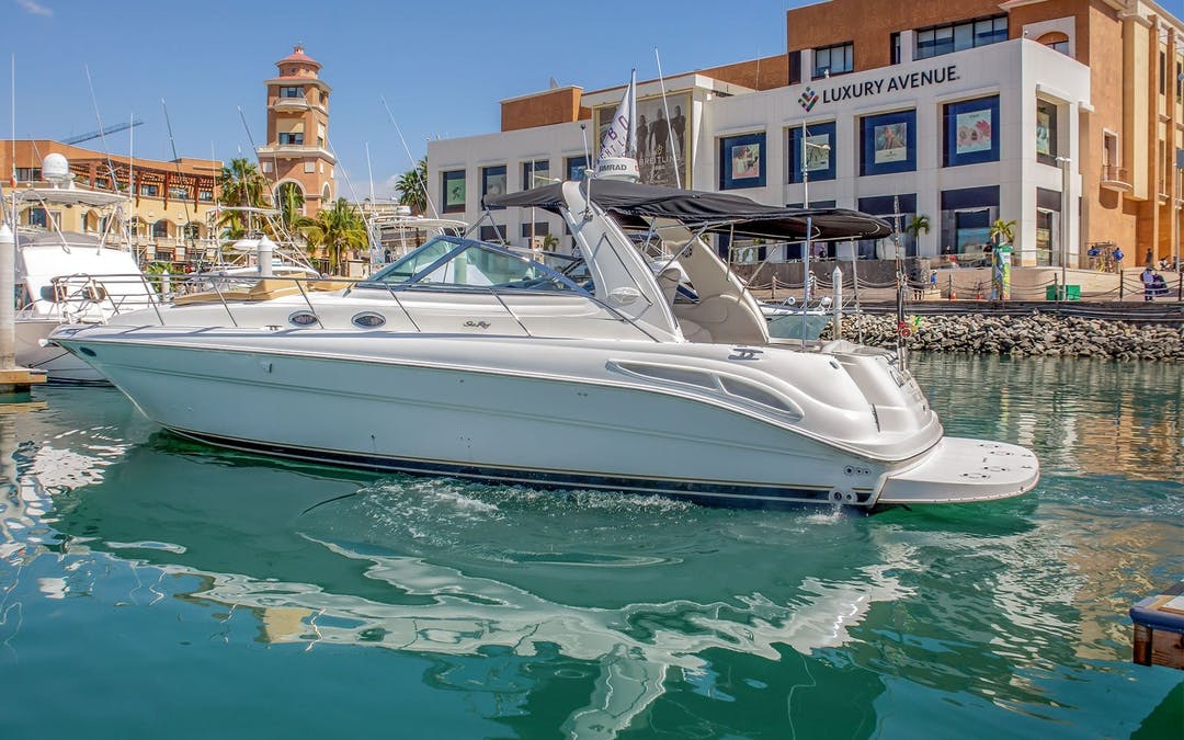 42 Sea Ray luxury charter yacht - Paseo de La Marina Lotes 37 y 38, El Medano Ejidal, Centro, Cabo San Lucas, BCS, Mexico